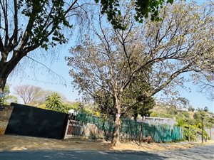 1670 m² Land available in Orange Grove