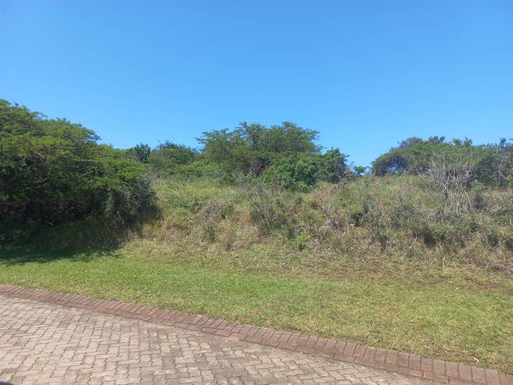 1162 m² Land available in Khamanga Bay photo number 2