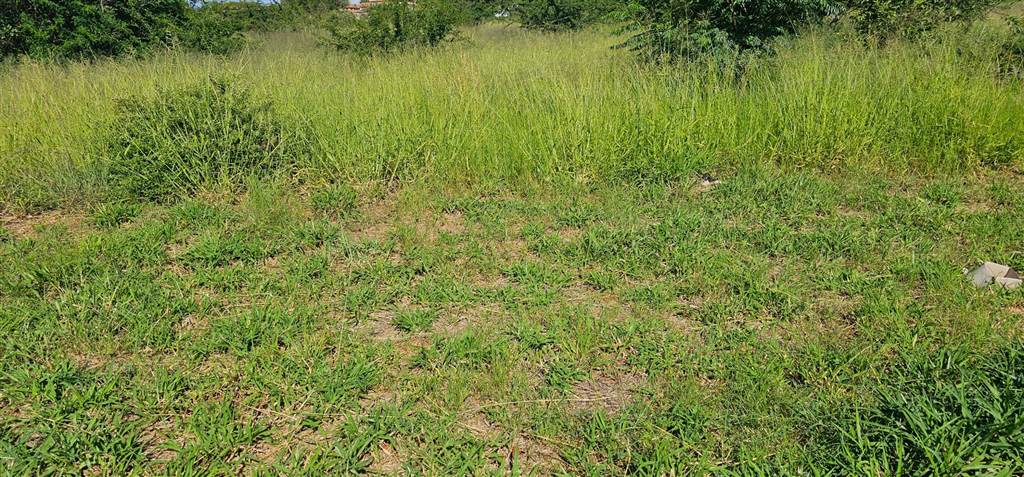 704 m² Land available in Bendor photo number 3