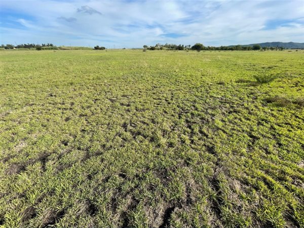 9.5 ha Land 9.5 ha Land