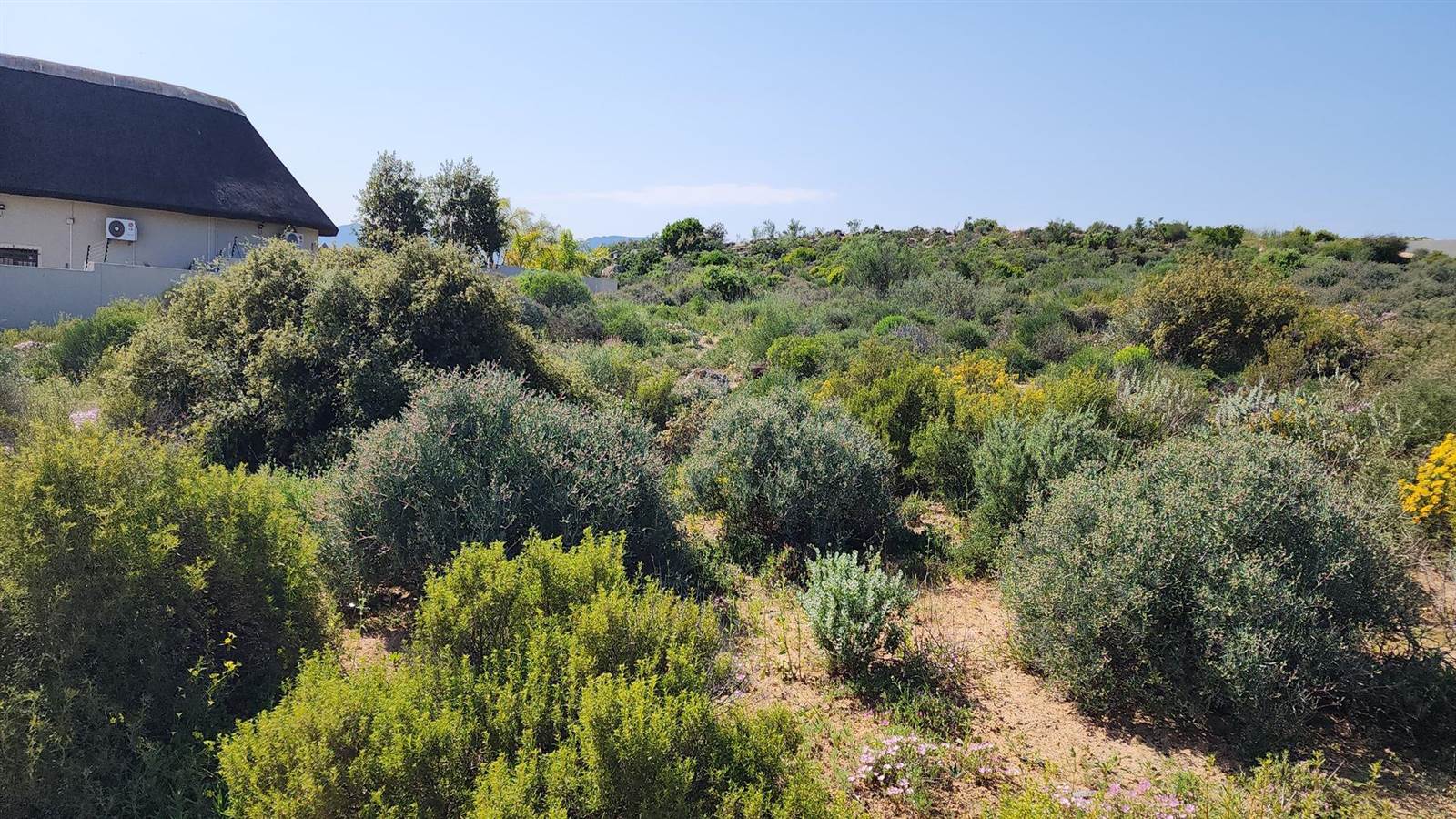 1382 m² Land available in Clanwilliam photo number 10