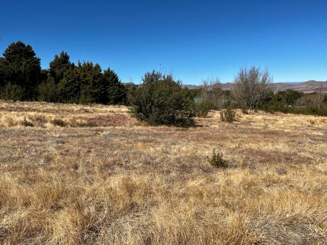 525 m² Land available in Clarens photo number 2