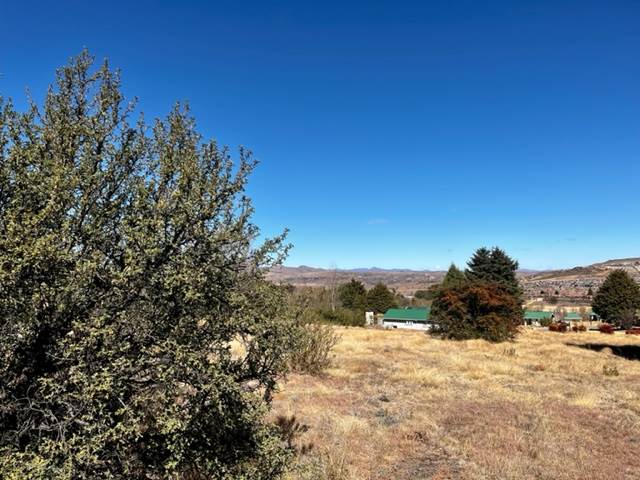 525 m² Land available in Clarens photo number 1