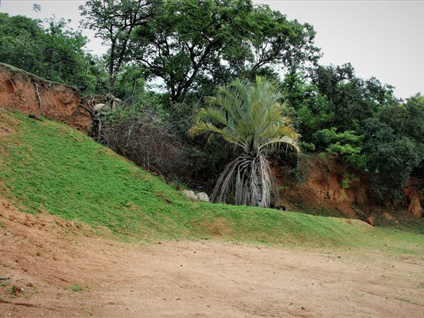 477 m² Land 477 m² Land