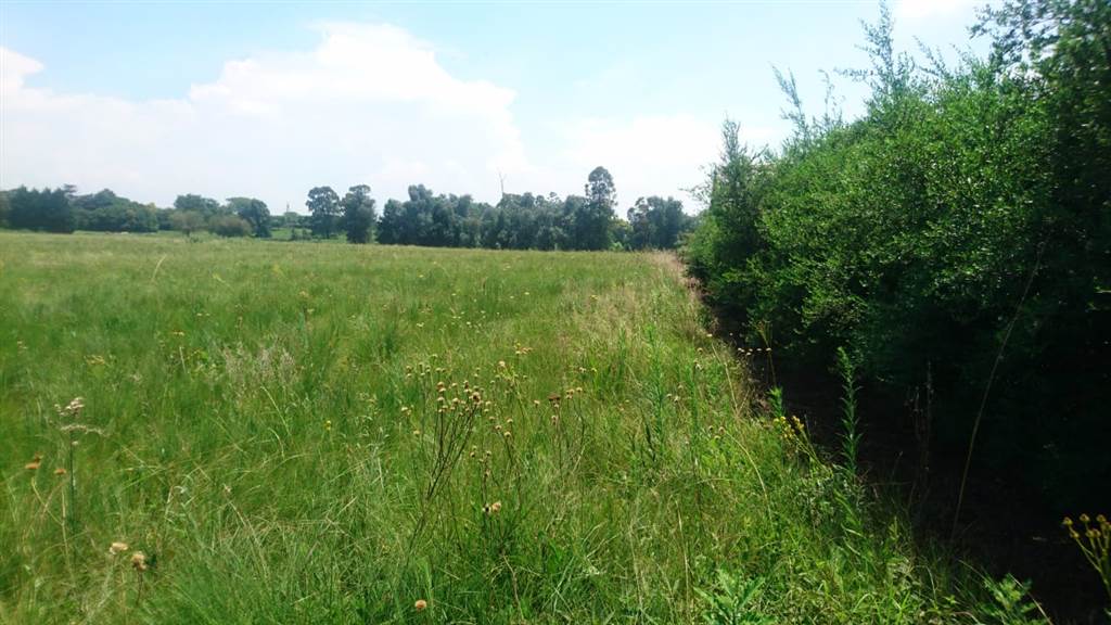 1600 m² Land available in Howick photo number 4