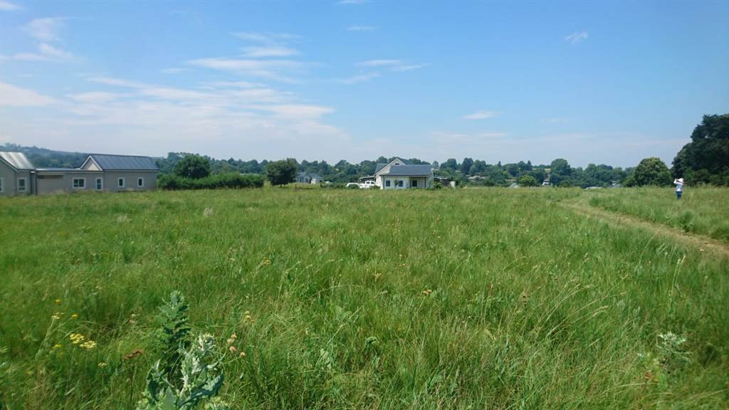 1600 m² Land available in Howick photo number 13