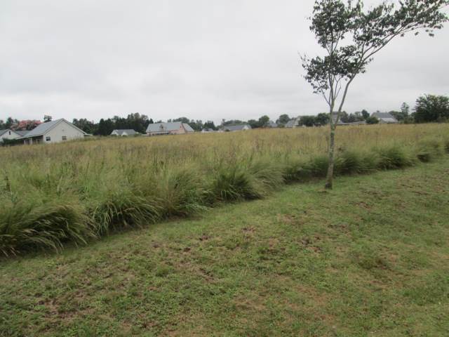 1600 m² Land available in Howick photo number 7