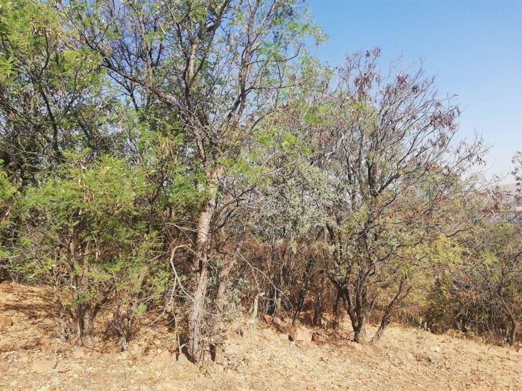1110 m² Land available in Kosmos Ridge photo number 3