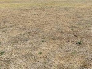 329 m² Land available in Golden Gardens