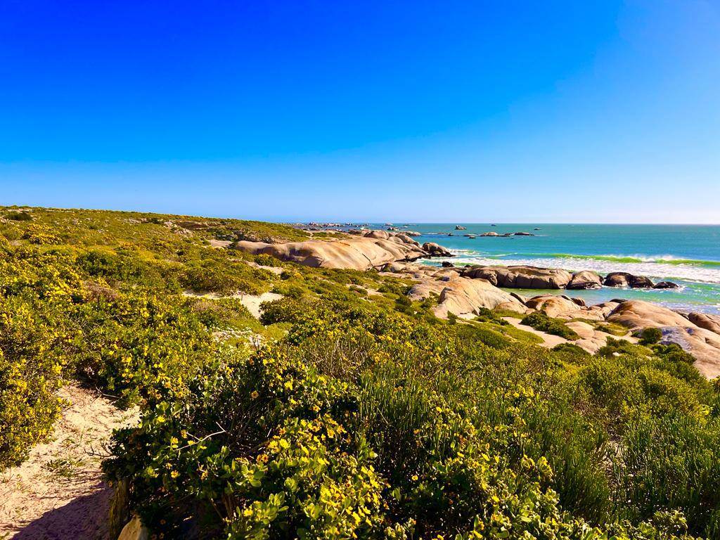 458 m² Land available in Paternoster photo number 14