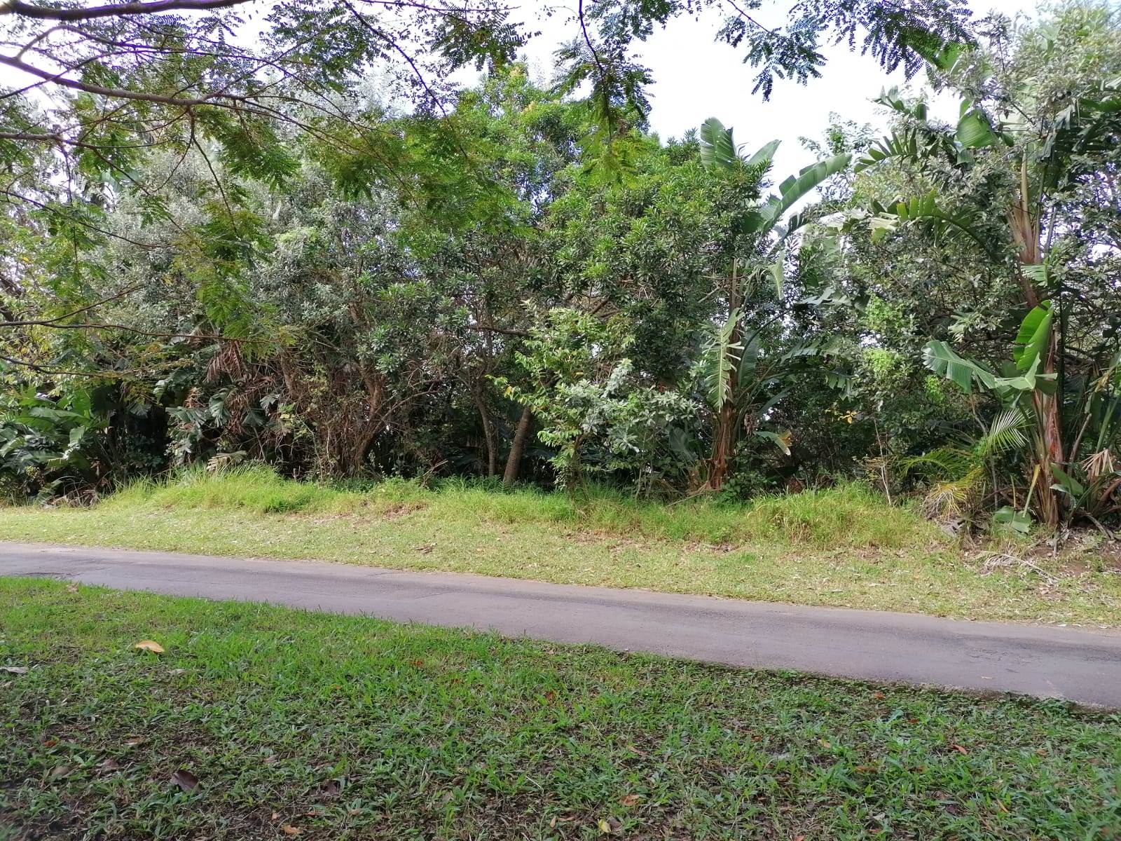 2559 m² Land available in Southbroom photo number 8