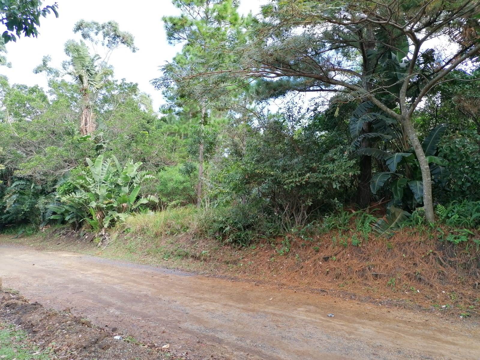 2559 m² Land available in Southbroom photo number 6