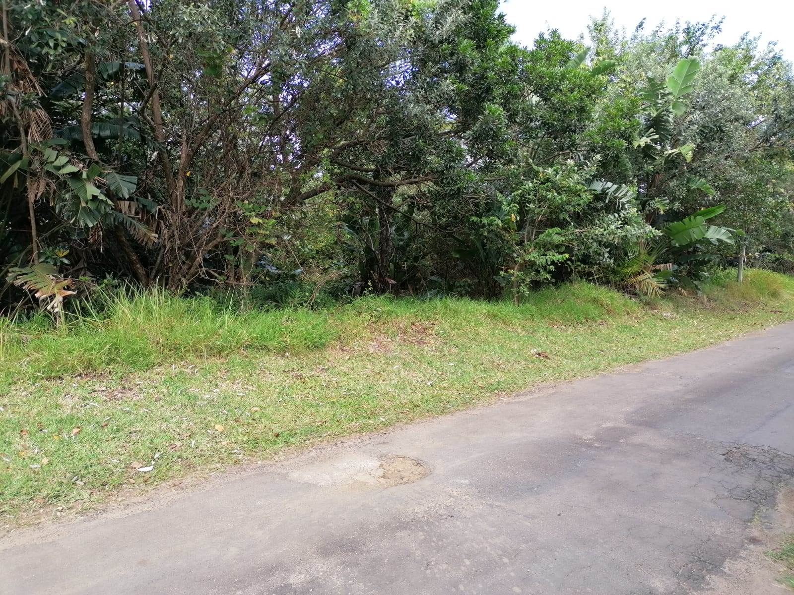 2559 m² Land available in Southbroom photo number 7