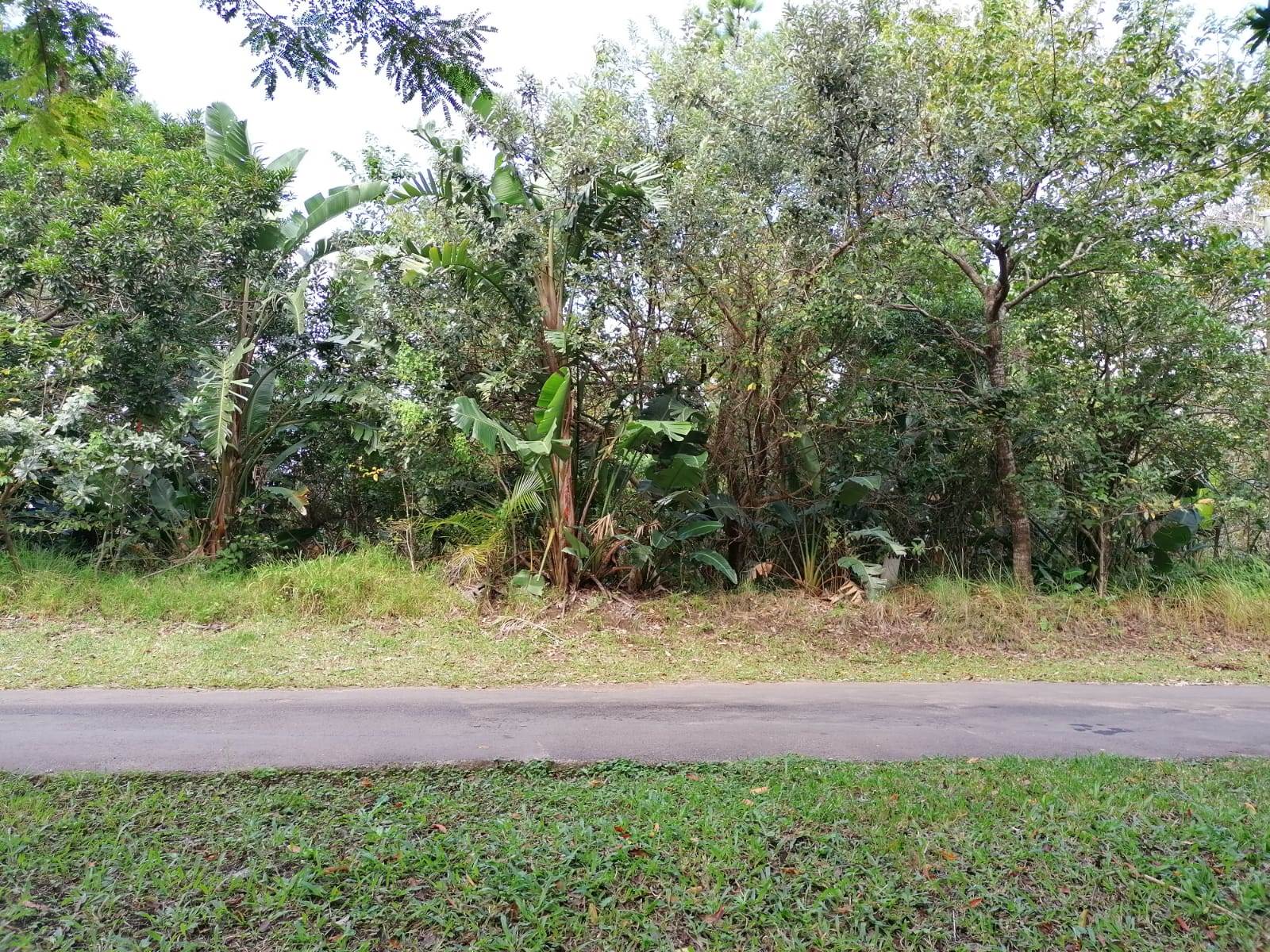 2559 m² Land available in Southbroom photo number 9