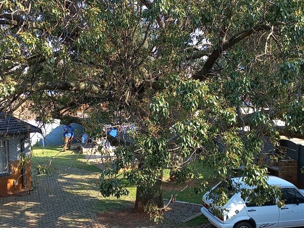 2 Bedroom Flat 2 Bedroom Flat