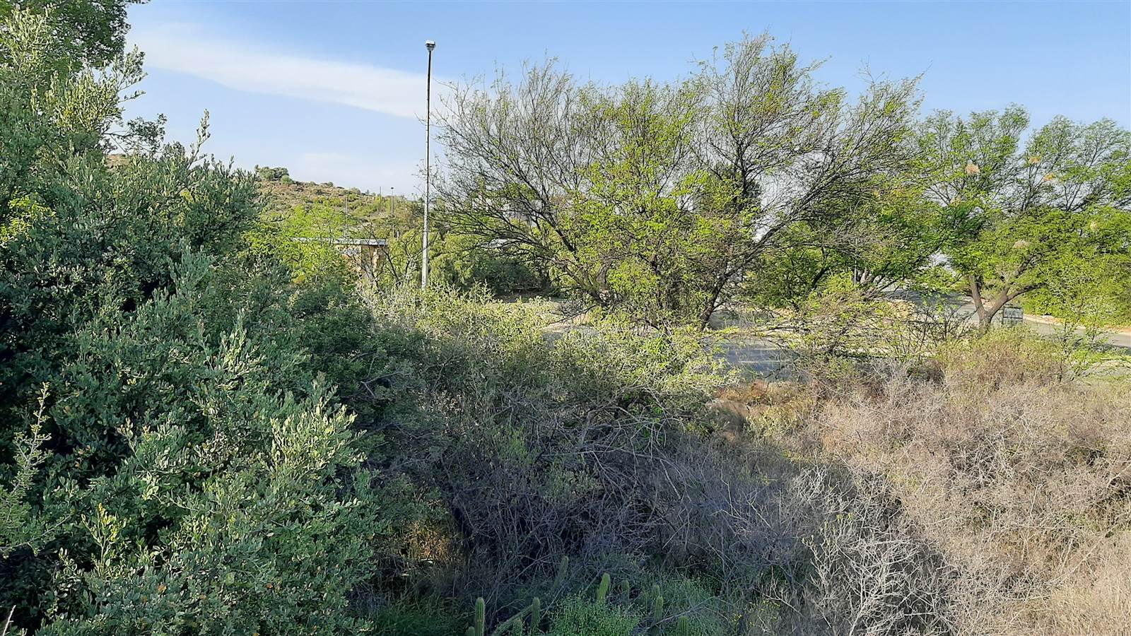 1035 m² Land available in Gariep Dam photo number 3