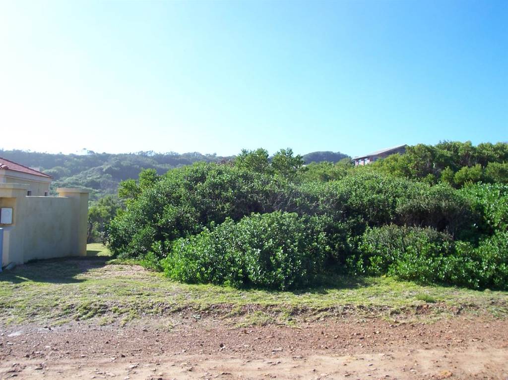 723 m² Land available in Oyster Bay photo number 4