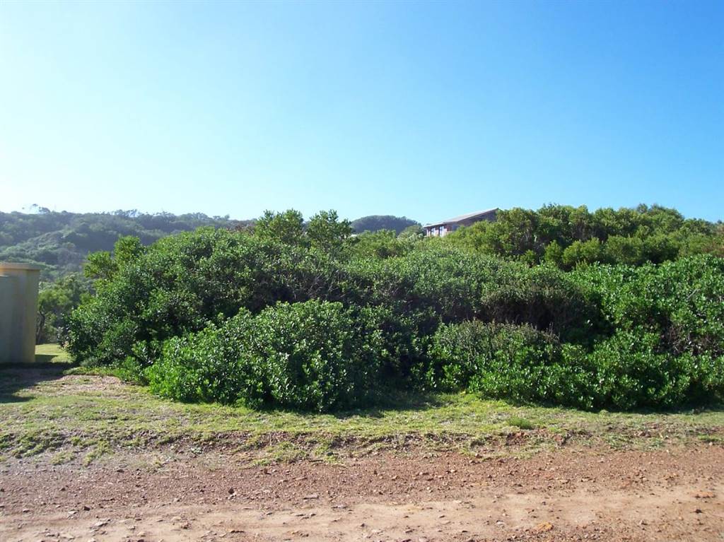 723 m² Land available in Oyster Bay photo number 3