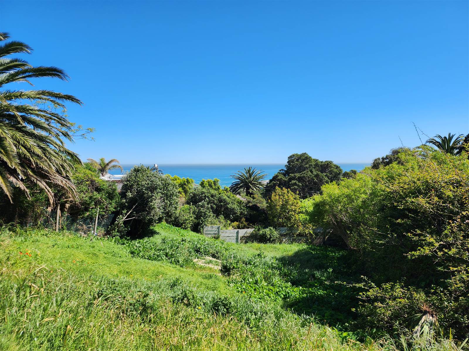 837 m² Land available in Camps Bay photo number 6
