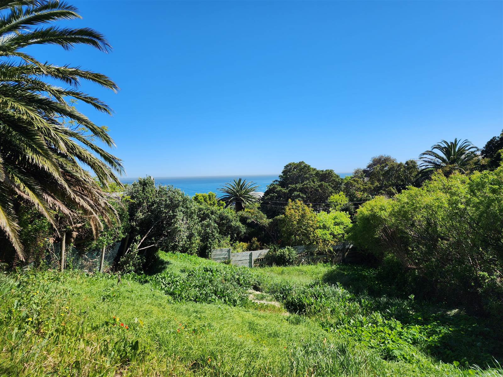 837 m² Land available in Camps Bay photo number 7