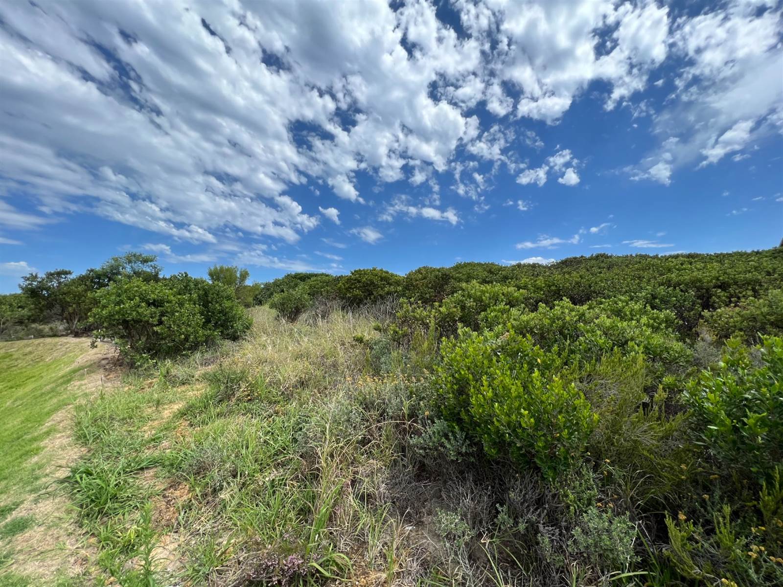 1106 m² Land available in Pezula Golf Estate photo number 3
