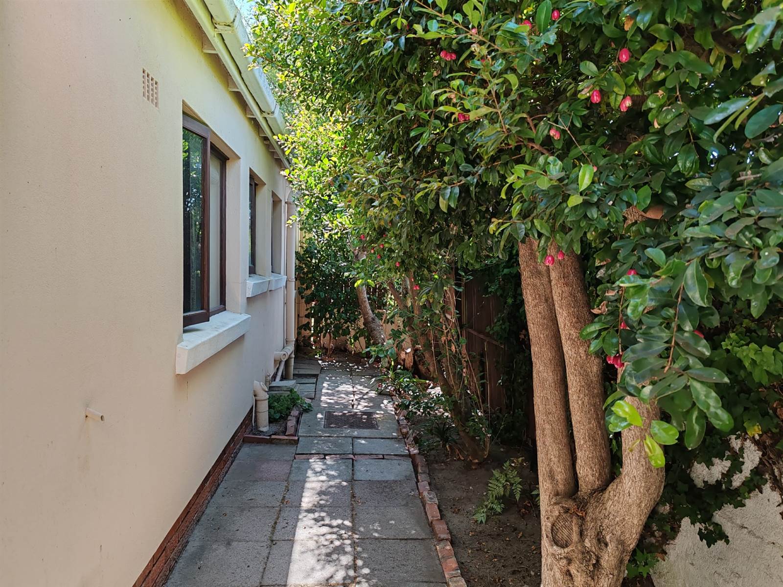 3 Bed House in Tokai photo number 5