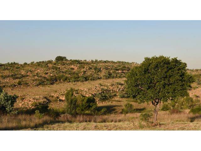 3.3 ha Land available in Bronkhorstbaai photo number 1