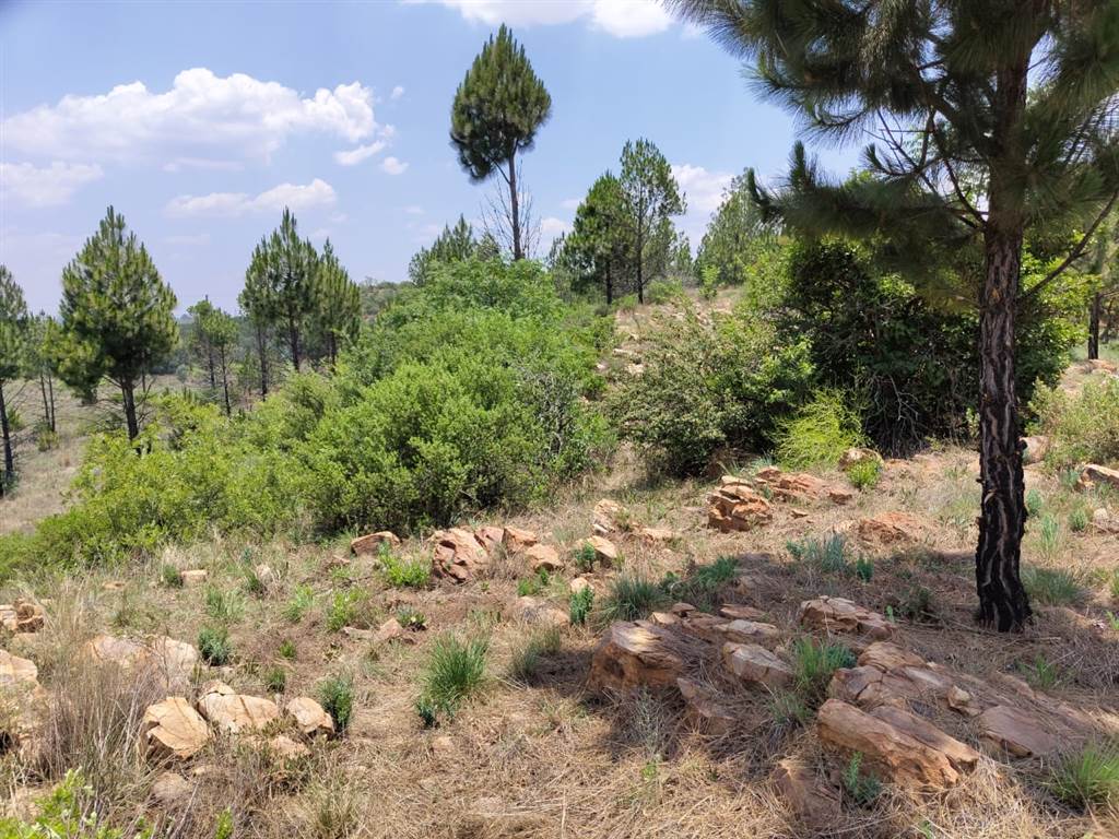 3 ha Land available in Roshnee photo number 3