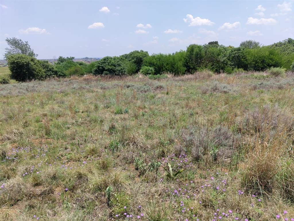 3 ha Land available in Roshnee photo number 2