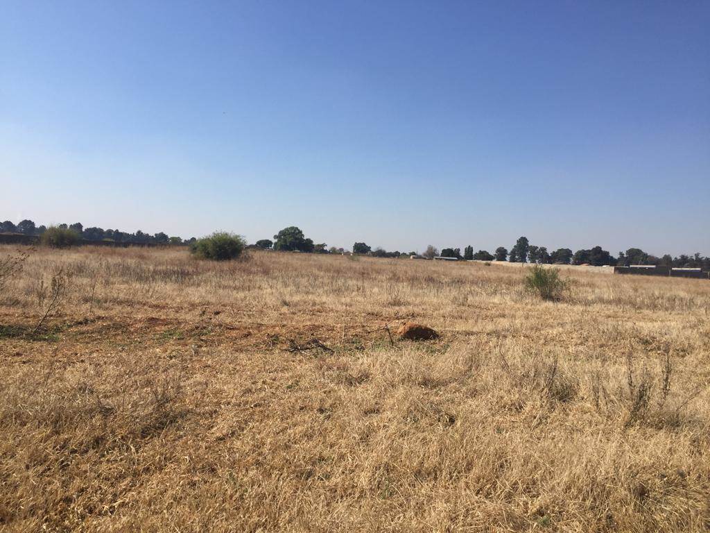 2.1 ha Land available in Rosashof photo number 1