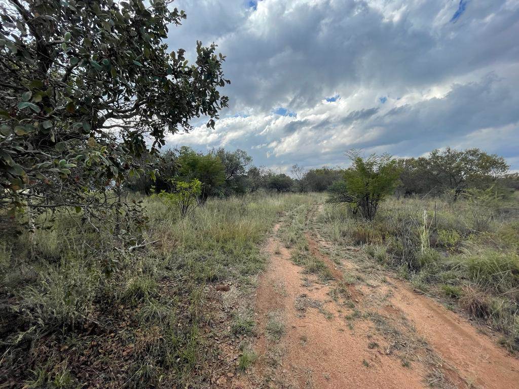 1894 m² Land available in Trompsburg photo number 6