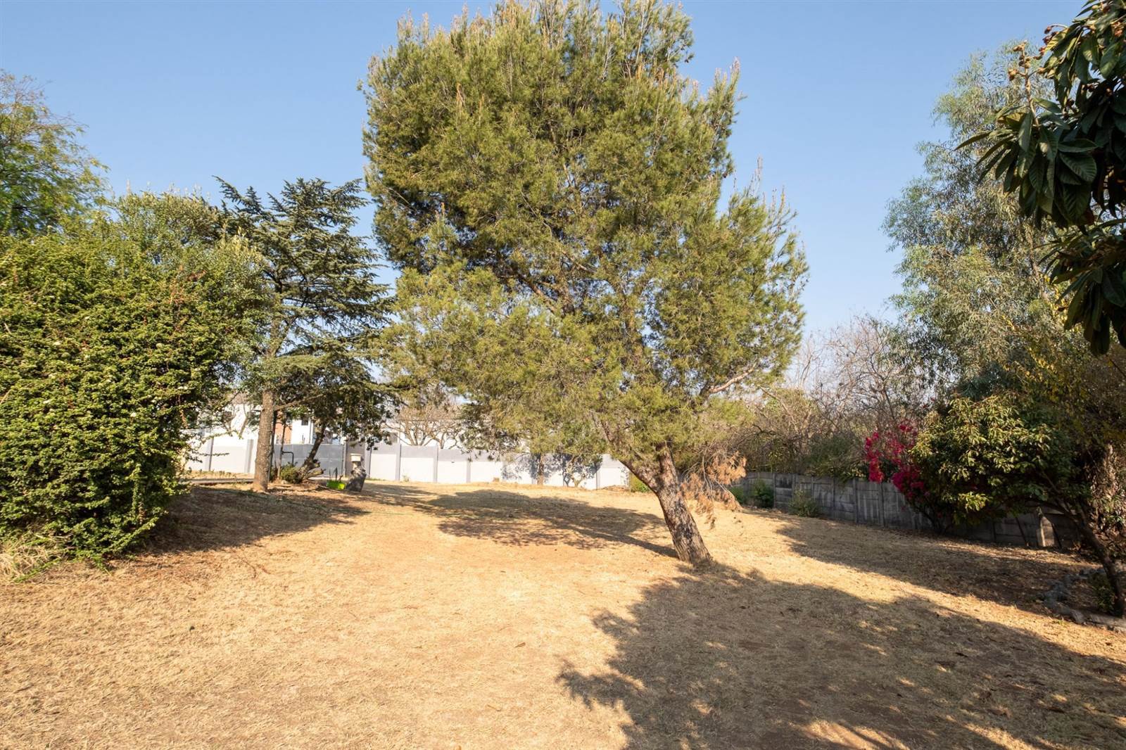 4025 m² Land available in Ferndale photo number 14