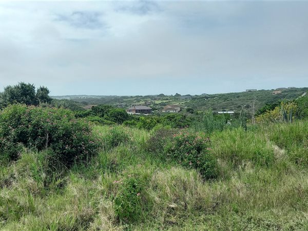 1114 m² Land available in Port Alfred