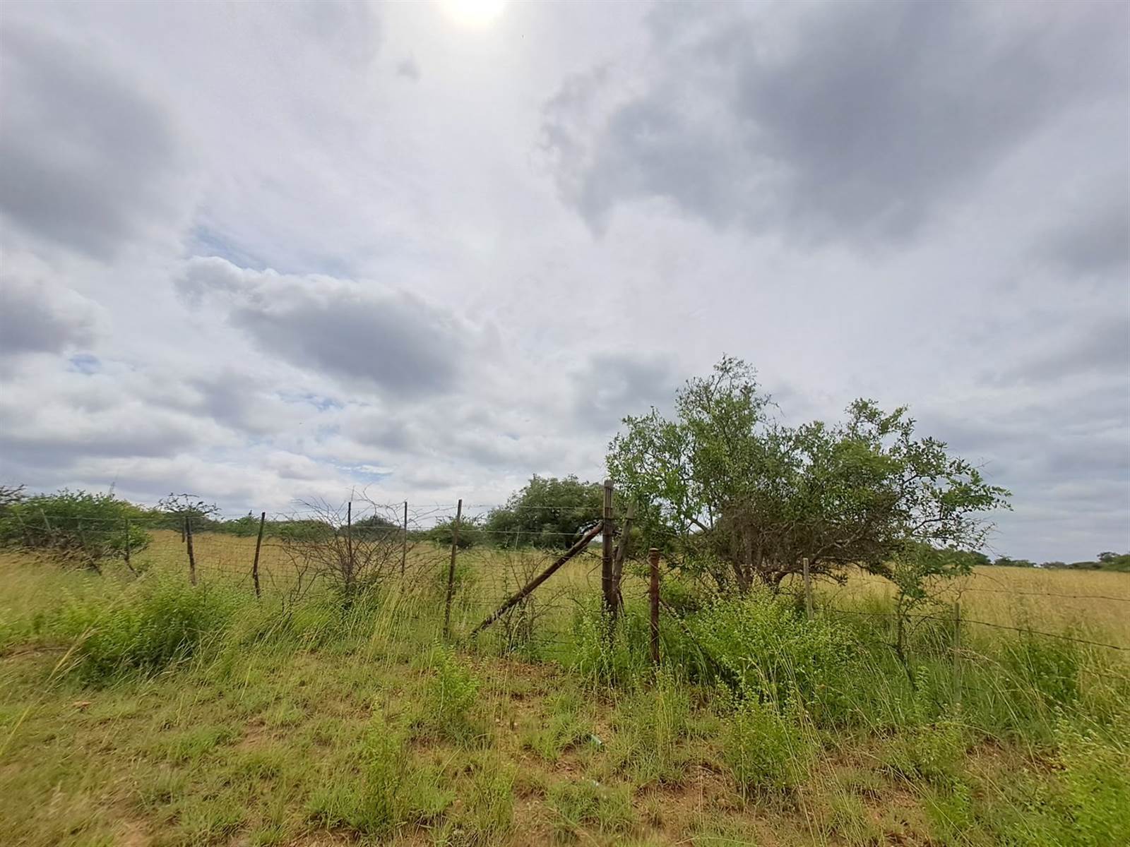 21.8 ha Farm in Tweefontein photo number 14