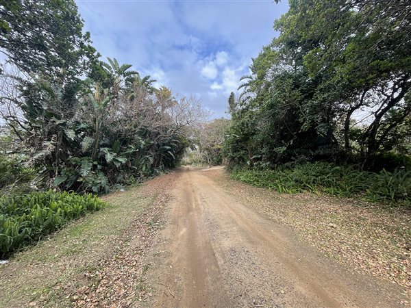 1819 m² Land available in Palm Beach