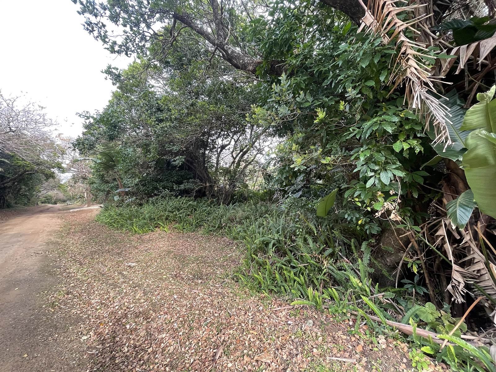 1819 m² Land available in Palm Beach photo number 10