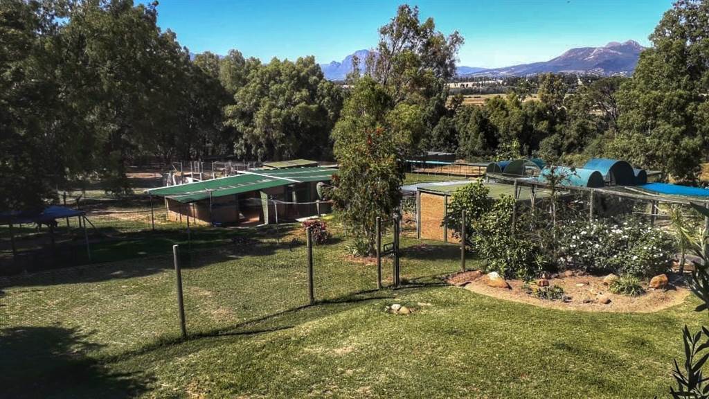 4.6 ha Farm in Northern Paarl photo number 18