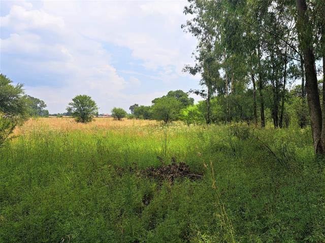 1.6 ha Land available in Kookrus photo number 4