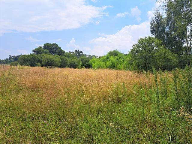 1.6 ha Land available in Kookrus photo number 1