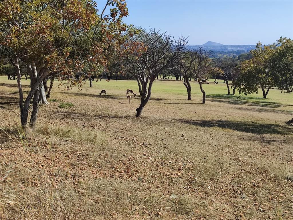 910 m² Land available in Seasons Lifestyle Estate photo number 11
