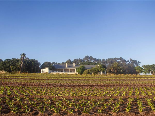 80 ha Farm