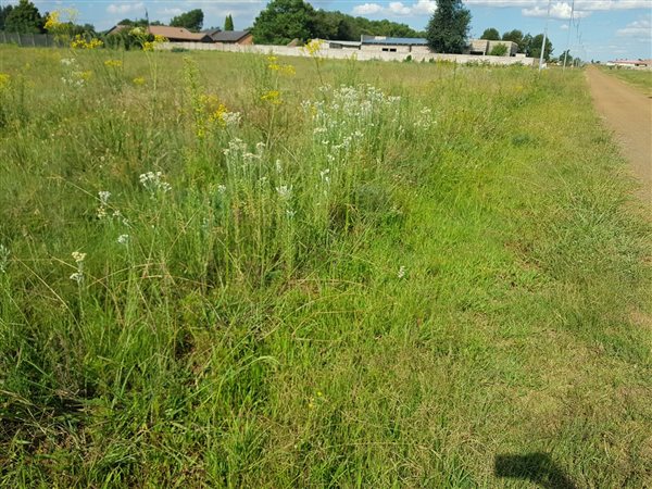 1115 m² Land available in Welgedacht
