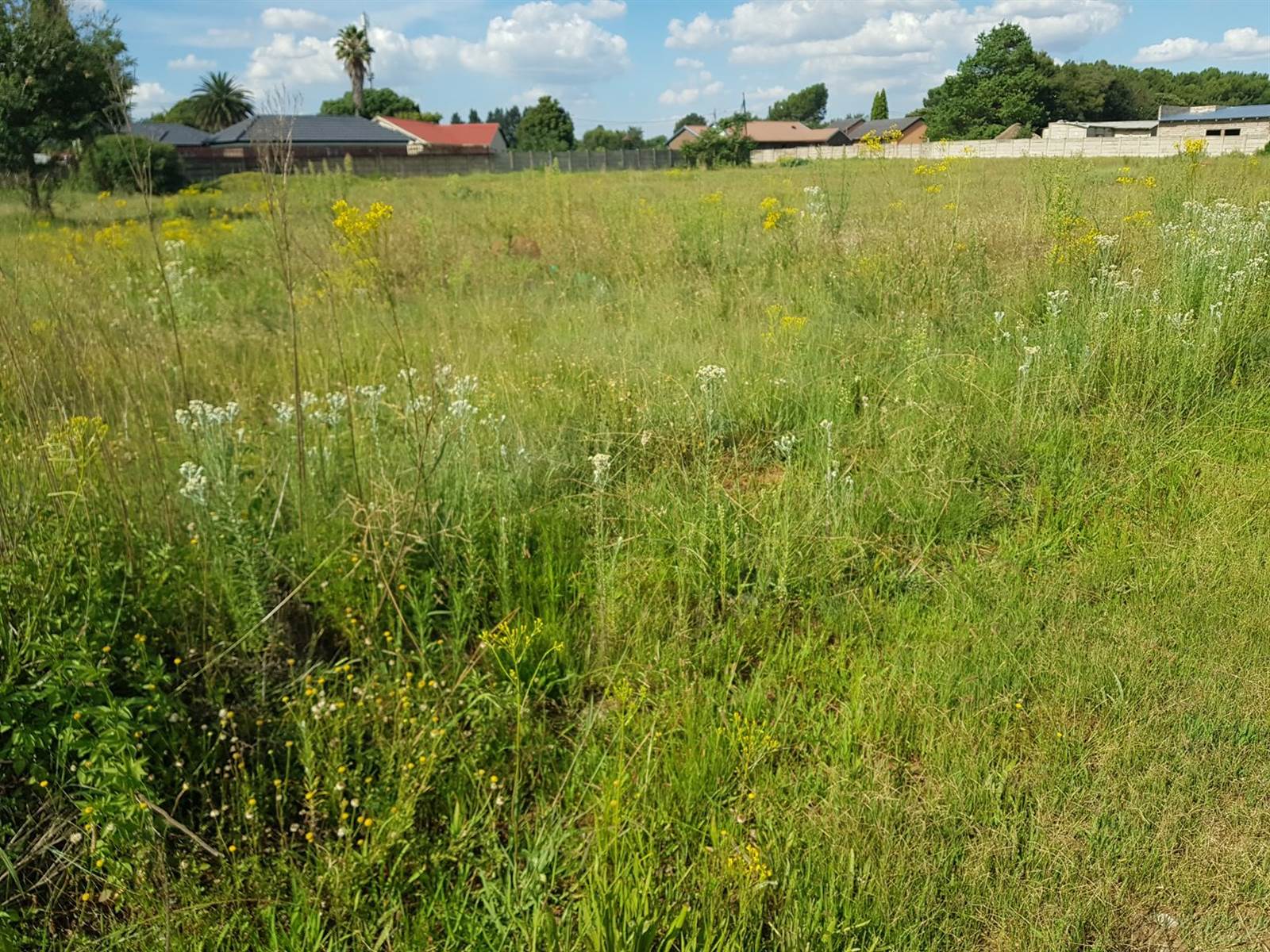 1115 m² Land available in Welgedacht photo number 5