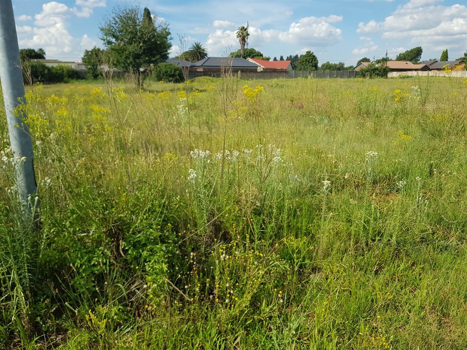 1115 m² Land available in Welgedacht photo number 6