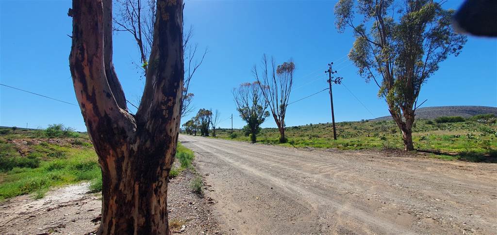 1334 m² Land available in Willowmore photo number 7