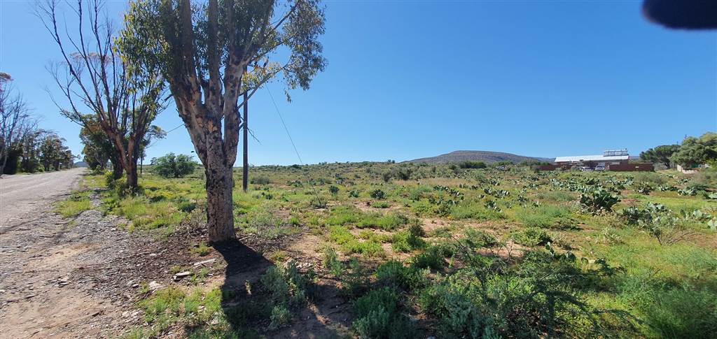 1334 m² Land available in Willowmore photo number 6