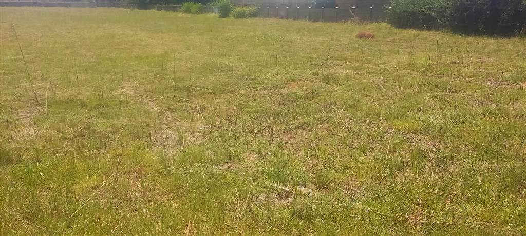 1079 m² Land available in Kookrus photo number 5