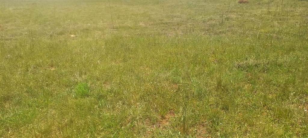 1079 m² Land available in Kookrus photo number 6