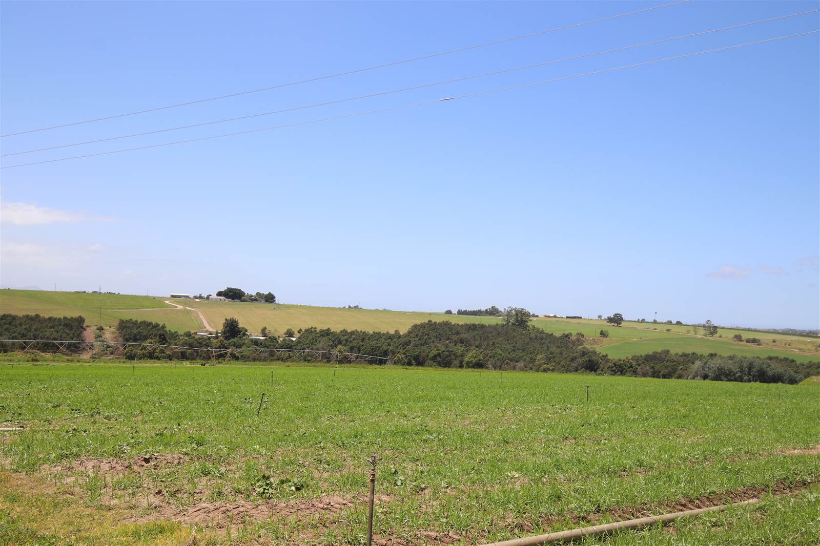 109.7 ha Farm in George South photo number 15