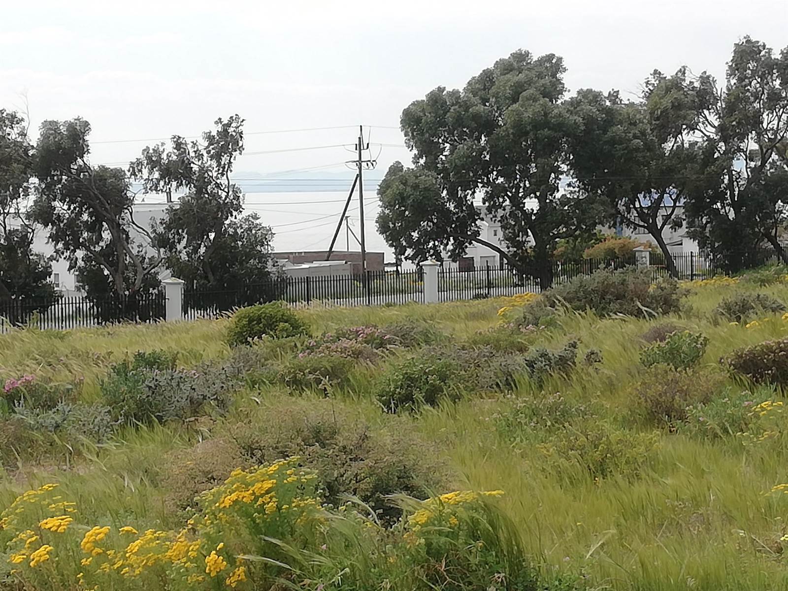 299 m² Land available in St Helena Views photo number 8